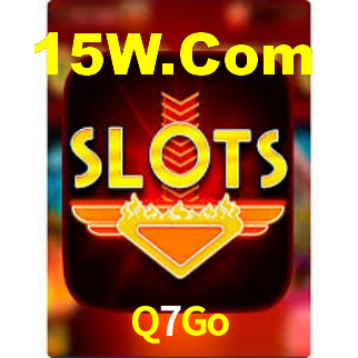 Segurança e privacidade no APP Q7Go